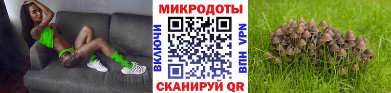 Купить закладки  Бокситогорск  Галлюциногенные грибы MAGIC MUSHROOMS 